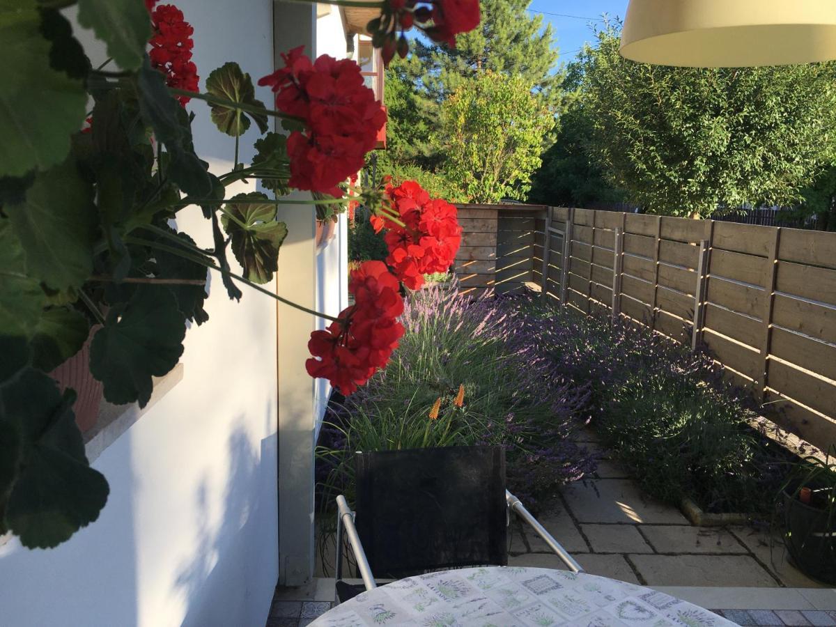Szelrozsa Apartmanhaz Velence Bagian luar foto